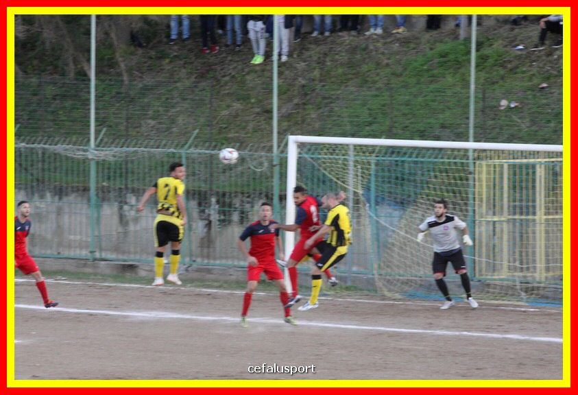 181111 Cepha_Milazzo 245_tn.JPG
